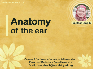 Anatomy of the ear - dr.Doaa 2022