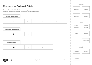 Respiration Word Equations - Cut and Stick