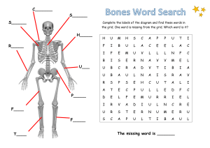 Bones-Word-Search