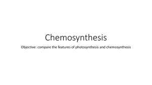 Chemosynthesis. Grade 11