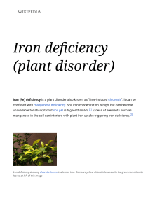 Iron deficiency (plant disorder) - Wikipedia