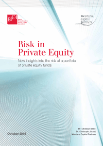 Risk in Private Equity: Portfolio Risk Analysis