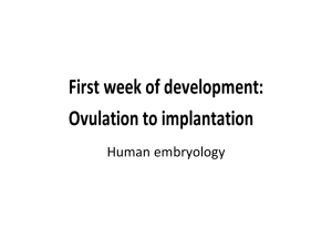 first week of embryogenesis
