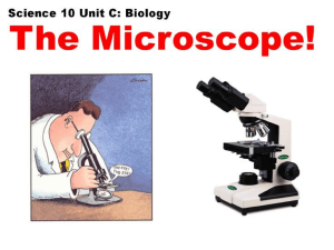 1 - The Microscope