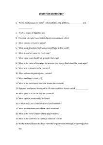 Digestive and Nutrition Worksheet