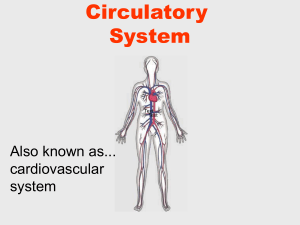 Circulatory System2012