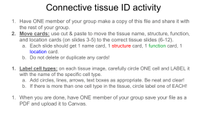Connective Tissue ID Activity