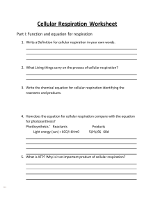 cellular respiration