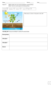 8.2 Photosynthesis ws NEW!