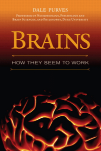 Brains  - How They Seem to Work