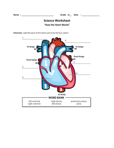 Worksheet Labeling The Heart