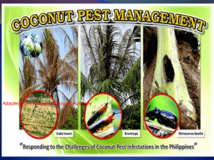 2. Insect Pest of Coconut and their control