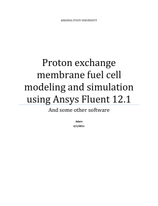Proton exchange membrane fuel cell model