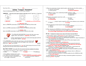 Cellular Transport Worksheet 1 SOLUTIONS.pdf - kyoussef-mci - home