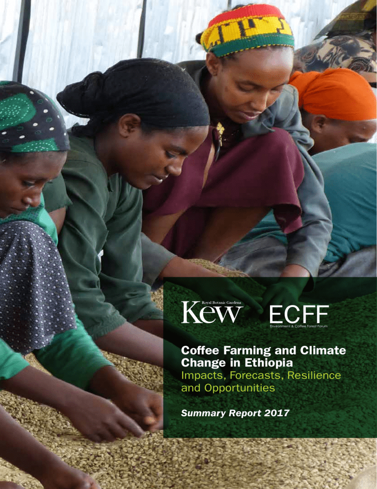 Coffee Farming and Climate Change in Ethiopia