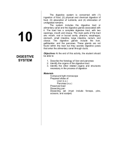 Toad Digestive System Lab Manual