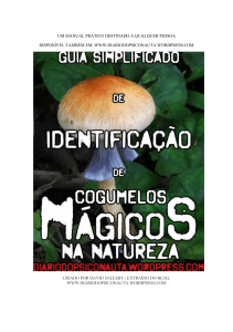guia-simplificado-de-indentificac387c383o-de-cogumelos-mc381gicos-na-natureza-david-saleeby