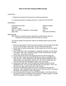 How to Use the Compound Microscope