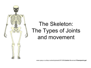 Joints Movement Powerpoint