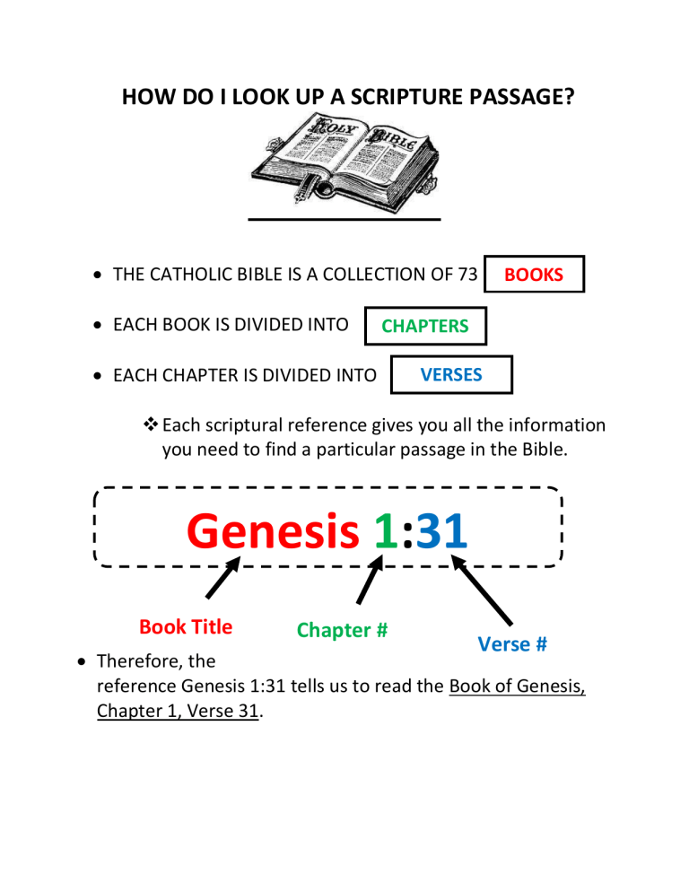 How To Look Up Scripture Passages In The Catholic Bible