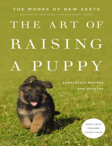 the-art-of-raising-a-puppy