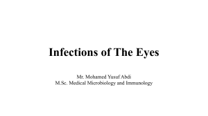 6. Infections of the eye