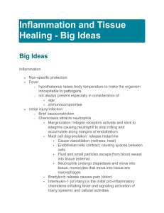 Big Ideas TBQ Inflammation and Tissue Healing