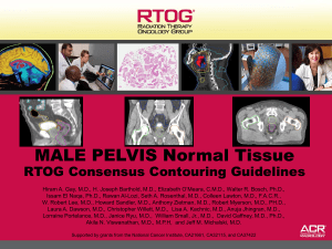 Male RTOG Normal Pelvis Atlas