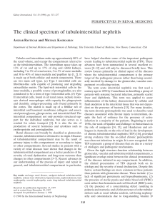 aca-The clinical spectrum of tubulointerstitial nephritis