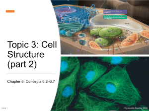 Lecture 7 - Cell Structure pt2