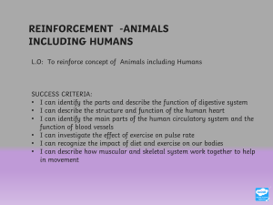 SCIENCE REVISION- ANIMALS INCLUDING HUMANS