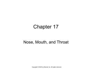 NS 209 Chapter 017