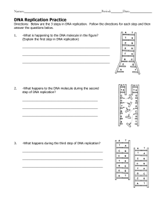 DNA Replication Worksheet