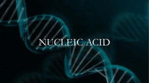 Nucleic-Acid