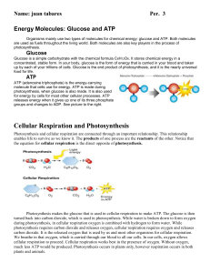 Photosynthesis vs Cellular respiration 2