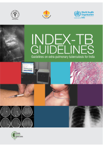 Index-TB Guidelines 