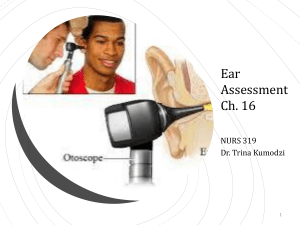 Complete Ear assessment student