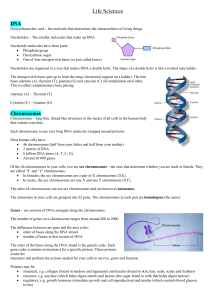 DNA review notes