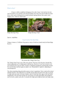 Frogs- Environmental Science