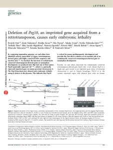 Deletion of Peg10, an imprinted gene acquired from a retrotransposon, causes early embryonic lethality
