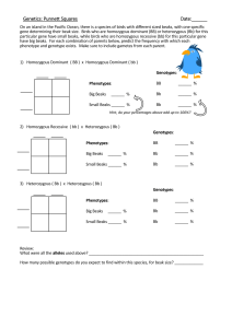 answer sheets 2