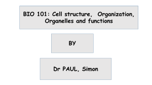 CELL STRUCTURE BIO 101