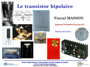 Bipolaire Cours - Projection - MASSON