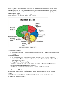 Nervous System Anatomy, Assessment, and Conditions