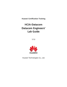 HCIA-Datacom Lab Guide