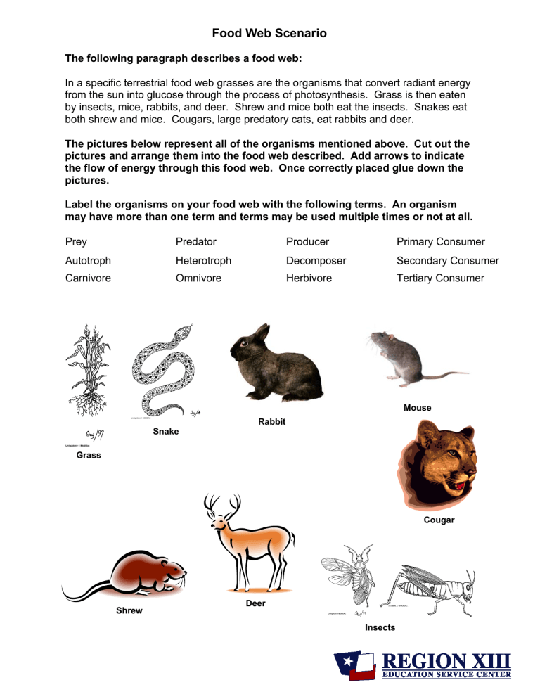 Food Web Scenarios