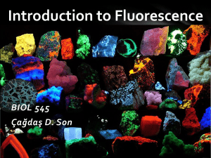 Introduction to Fluorescence