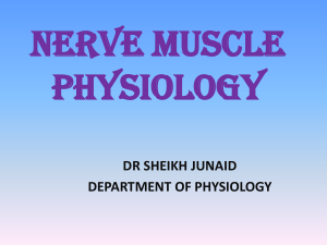 NERVE MUSCLE PHYSIOLOGY-16-12-14