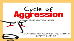 Aggression Model