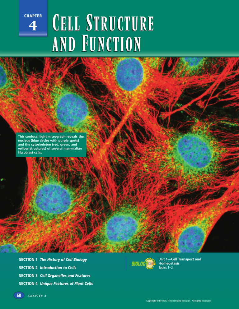 chapter-4-cell-structure-and-function-2